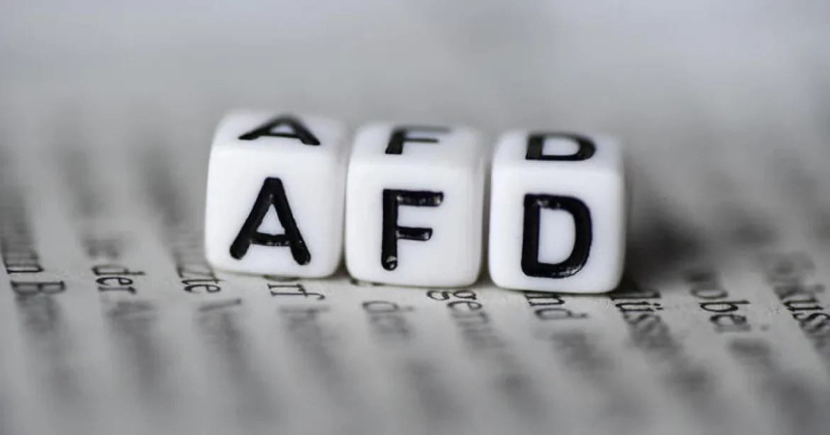Oroszország ajánlatot nyújtott át az AfD pártnak