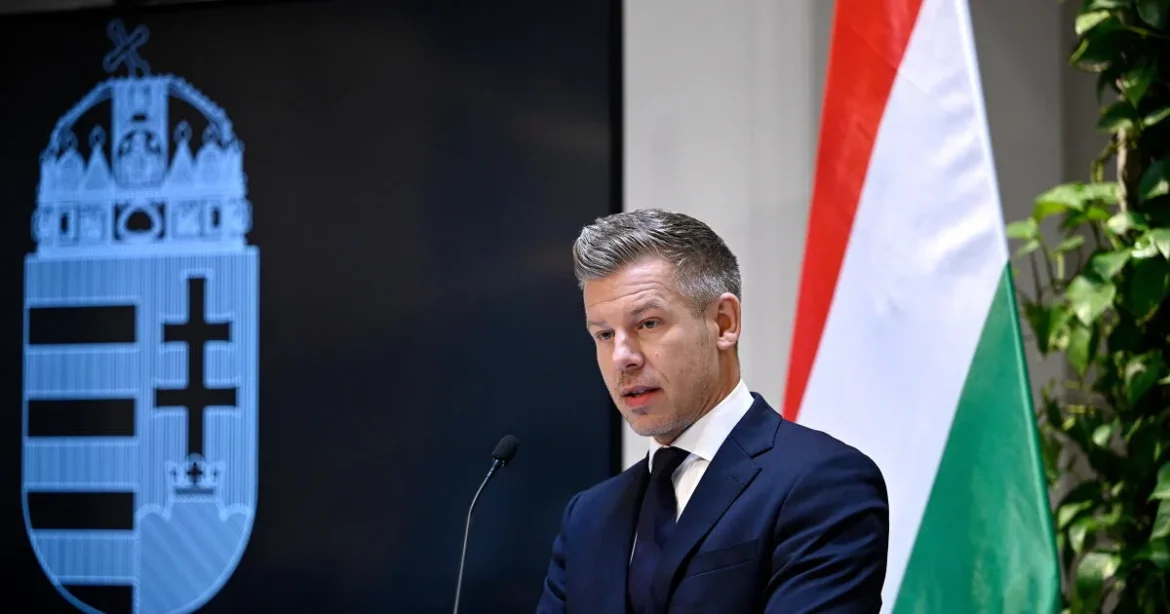Magyar Péter részleteket árult el a kihallgatásáról