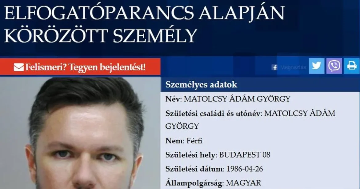 Matolcsy Ádám jövője: mi várhat rá a következő időszakban?